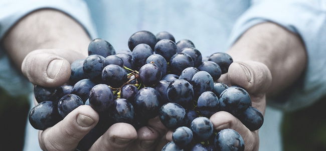 9 weird facts about wine that you probably didn't know!