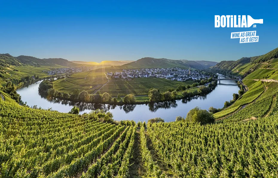 Germany: The country of amazing wines and multiple emotions