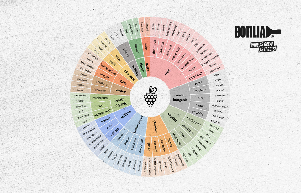 The Wine Aroma Wheel