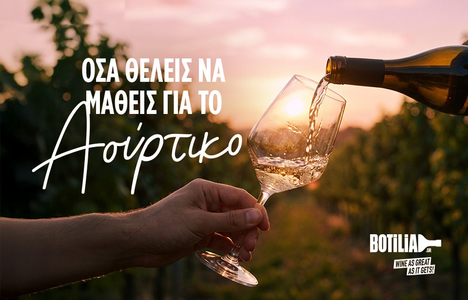 Όσα θέλεις να μάθεις για το Ασύρτικο