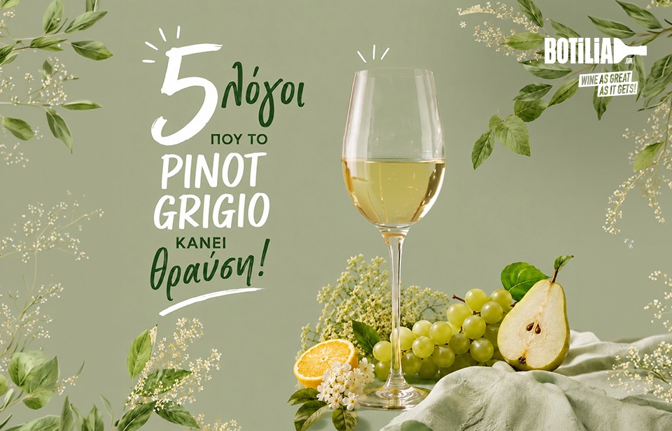 5 Λόγοι που το Pinot Grigio κάνει θραύση!