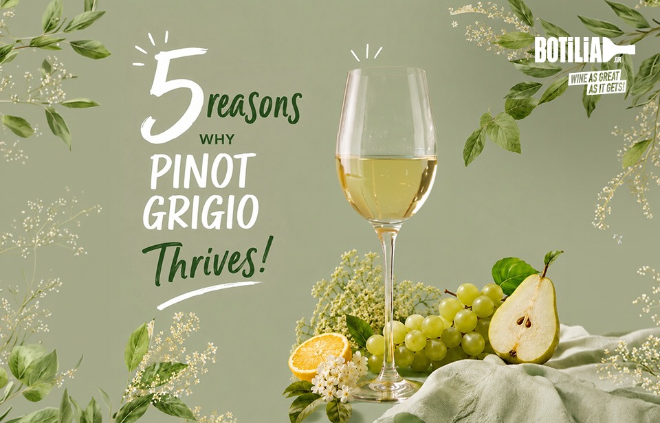 5 Reasons why Pinot Grigio is amazing!